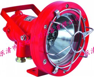 DGS20/127L(B)礦用LED投光燈