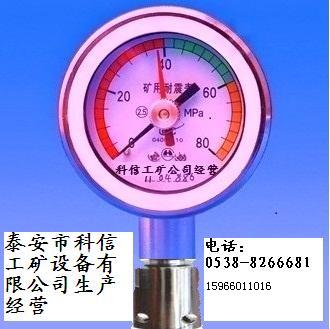 供應SY-80綜采支架雙針耐震測壓表