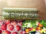 供應食品機械用毛刷|茶葉機毛刷輥|切菜機毛刷|蛋糕傳送機毛刷|土豆去皮機毛刷|海鮮清洗機毛刷