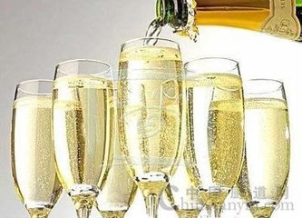 供應德國起泡酒進口海運代理|起泡酒紅酒進口清關流程