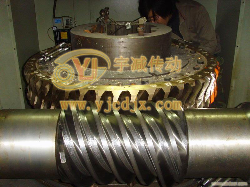 tpa125-16包絡(luò)蝸輪蝸桿