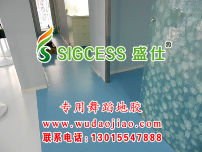 pvc舞蹈學校地膠