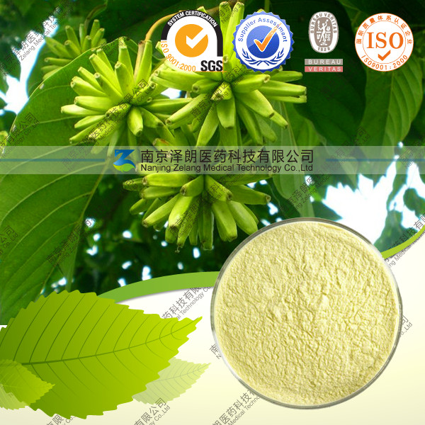 純** 喜樹堿50~99% 廠家**生產(chǎn)