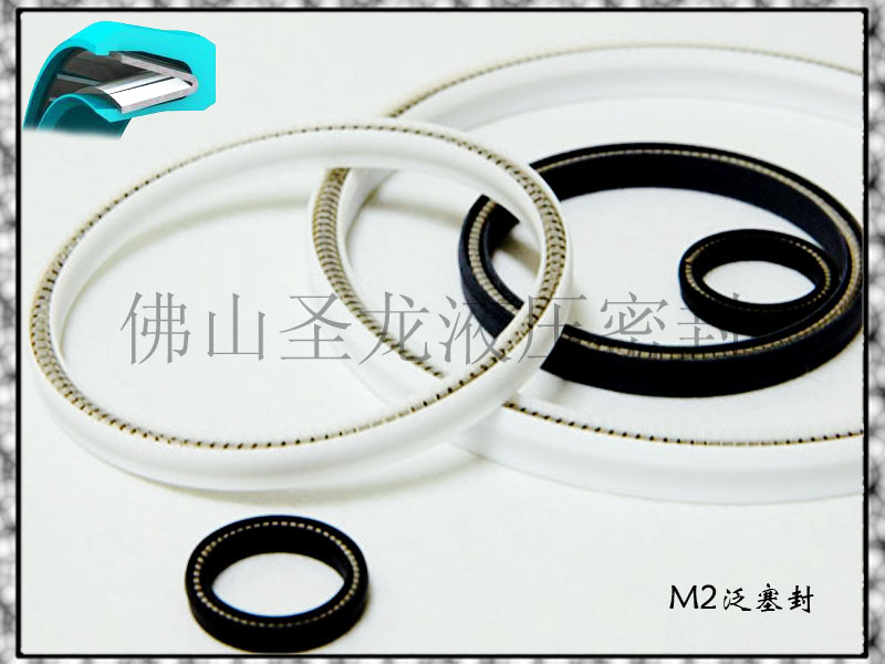 供應M2型軸用特康泛塞密封RVA301000