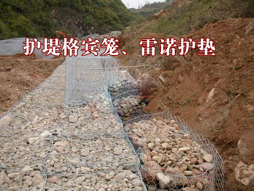 格賓籠山體護坡/邊坡海防工程固濱籠/涂塑雙隔板賓格石籠