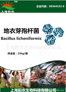 供應地衣芽孢桿菌