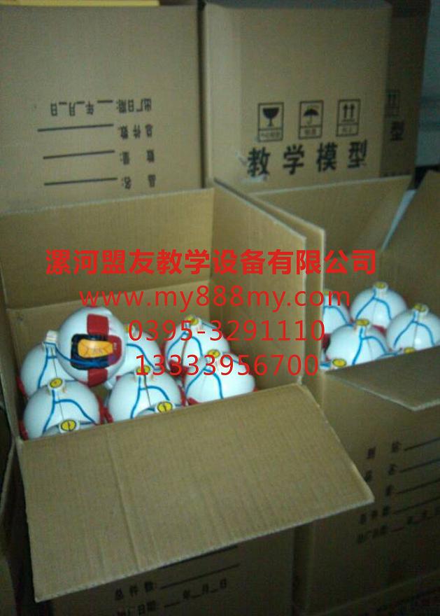 供應教學模型