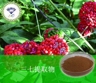 供應三七提取物 -有求必應