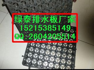 供應蘭州*塑料排水板/抗根刺排水板/排水板廠家