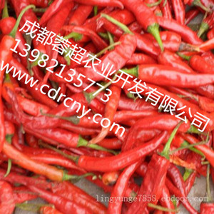 供應(yīng)成都海椒|