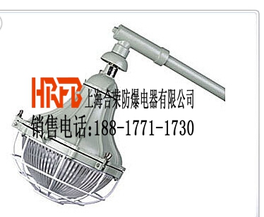 供應**進口防爆路燈