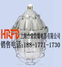 供應做工精致的BAD51系列隔爆型防爆燈