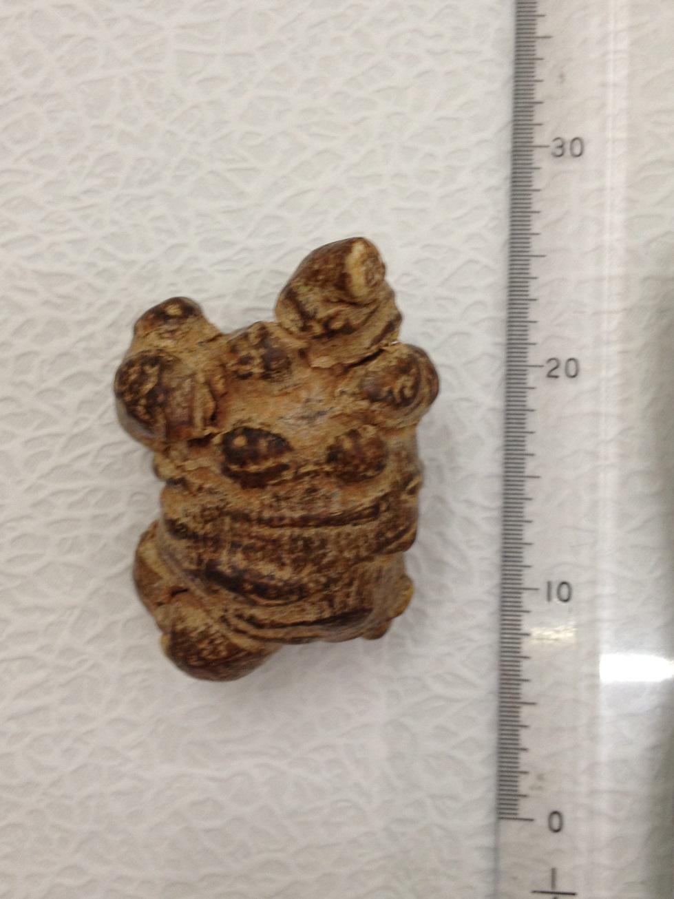*的生物粉碎服務商哪里找