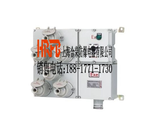 供應價格實惠的防爆檢修電源插座箱