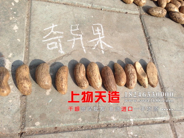 千眼菩提子價格廣州珠海哪里有批發