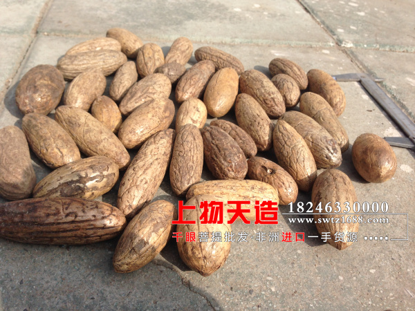 呼倫貝爾千眼菩提原子批發送紅色千眼