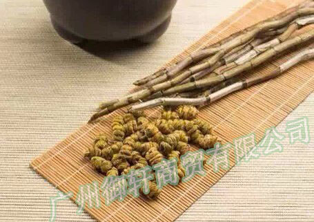 批發杯鞘石斛（剛節楓斗）