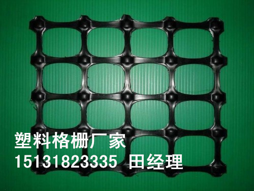 供應(yīng)TGSG雙向拉伸塑料格柵