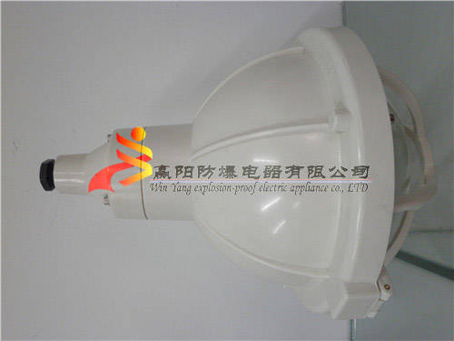 供應(yīng)FAD-S**防塵防腐燈，三防燈，工廠燈