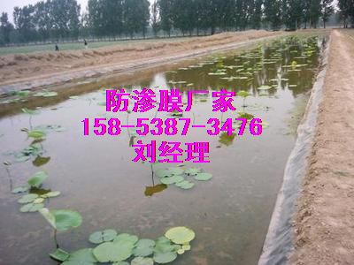 供應宜賓【移動藕池防滲膜】水產養殖防滲膜價格