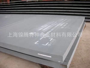 哈氏合金Hastelloy C-22/N06022/NS338 /C22/W.Nr.2.4602不銹鋼圓鋼，鍛件，方鋼,圓環，扁鋼，鋼帶,線材,鋼錠，管件,法蘭，配件