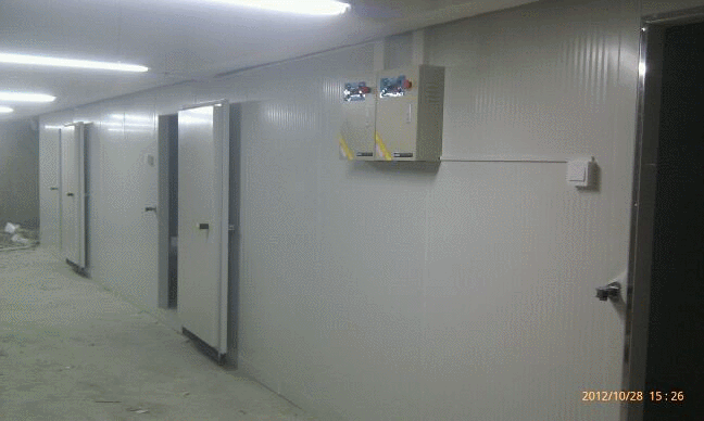 建一個冷庫多少錢