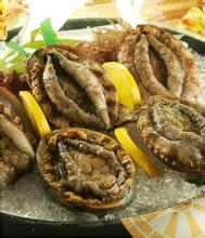 青島進口鮑魚報關公司