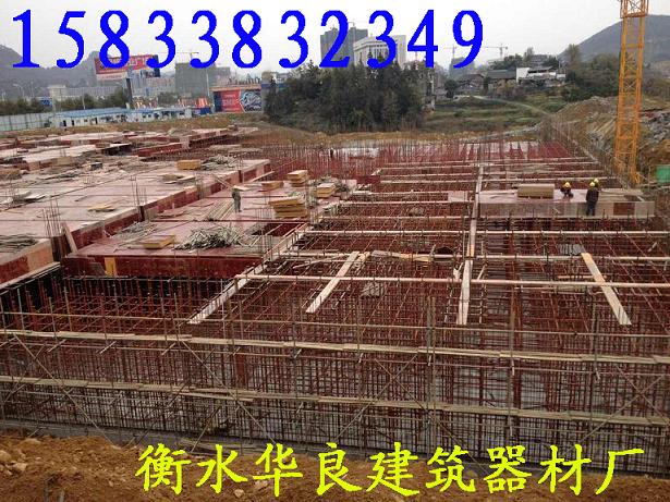 供應面向全國銷售承插式盤扣腳手架