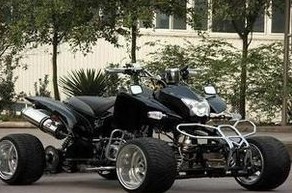 供應(yīng)黑色貍貓款**酷型沙灘車報(bào)價(jià) 沙灘車廠家**銷售批發(fā)