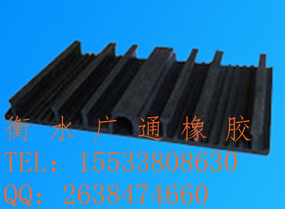 供應泰安市橡膠止水帶虧本特賣