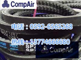 供應10001748康普艾空壓機配件
