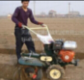 供應花生剝殼機山茶籽剝殼機