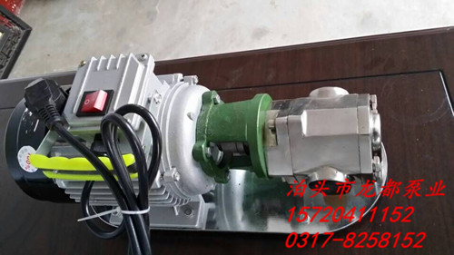供應河北泊頭220v不銹鋼齒輪泵 不銹鋼手提泵