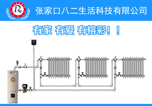 供應(yīng)冬季取暖家用智能數(shù)字化電取暖爐