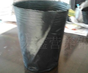 供應(yīng)園林的樹(shù)苗營(yíng)養(yǎng)缽