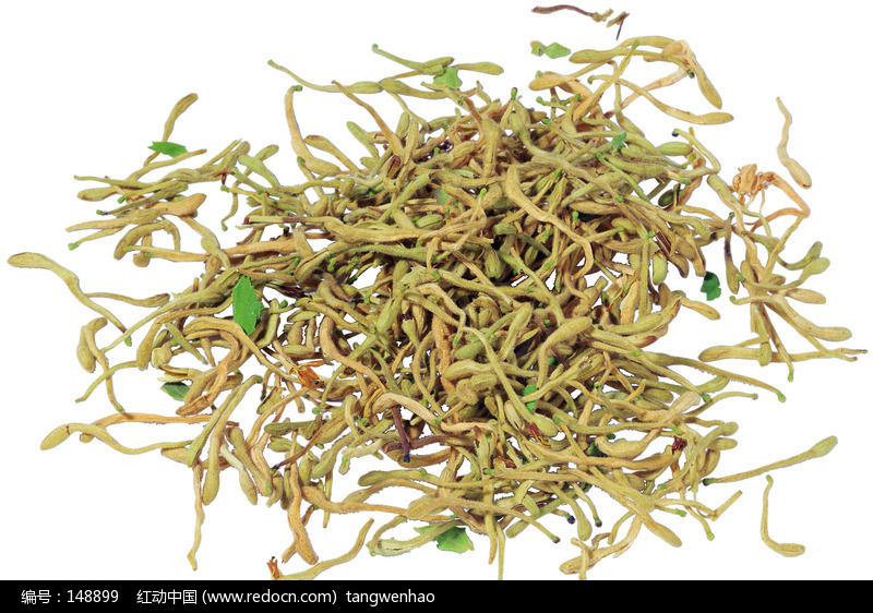 供應廠家直銷/金銀花中草藥熱風循環烘箱