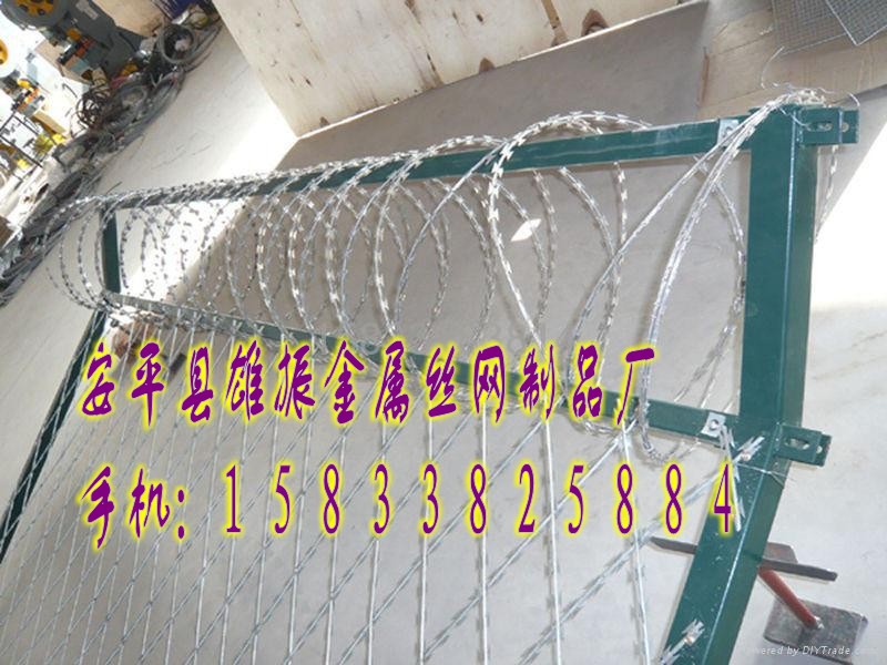 供應雄振蛇覆網(wǎng)|品質優(yōu)良監(jiān)獄防護網(wǎng)
