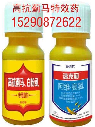 供應*玉米薊馬好藥 遼寧錦州薊馬可以選擇產品 新型番茄薊馬殺蟲劑
