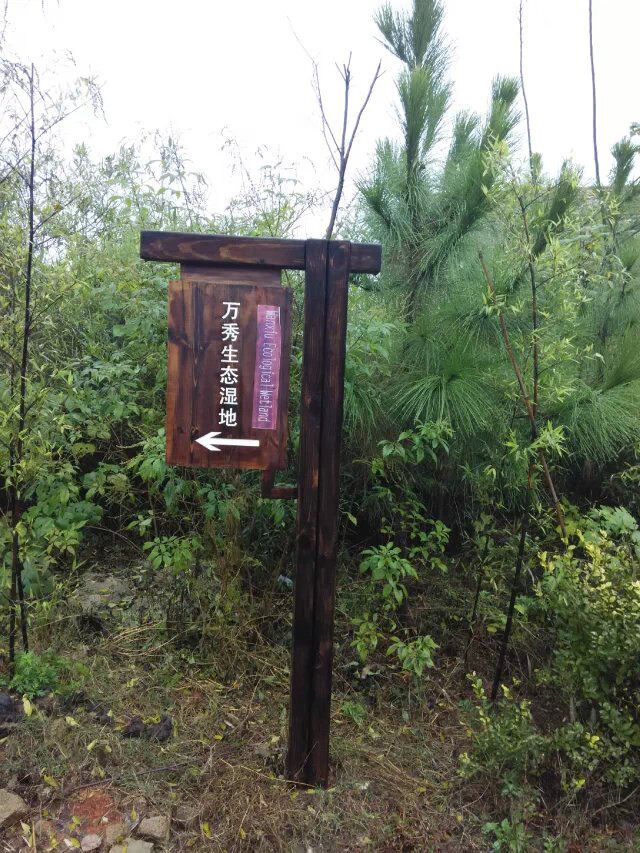 供應株洲戶外景區標牌-東方紅楓葉