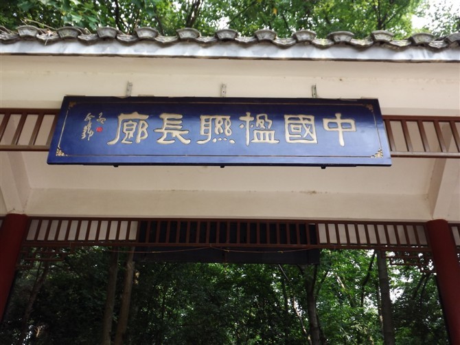 供應青海實木仿古門頭招牌-東方紅楓葉