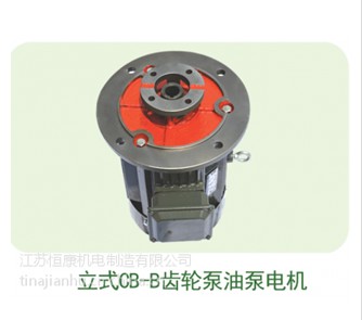 CB-B齒輪泵立式出軸液壓電機 三相異步電動機