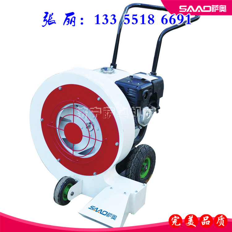 供應(yīng)手推式路面吹風(fēng)機,薩奧吹得最給力的路面吹風(fēng)機