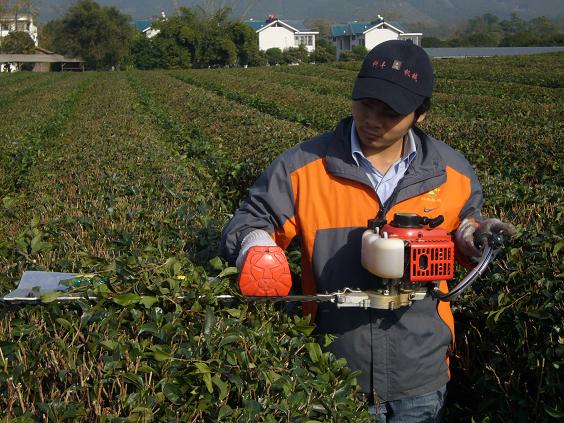 河北代理批發(fā)新大和高枝綠籬機(jī)，鑫德華