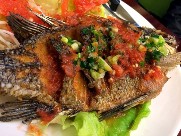 供應無錫**烤魚*