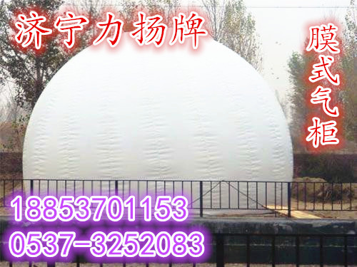 供應供應力揚沼氣膜式氣柜干式氣柜結構原理價格批發(fā)