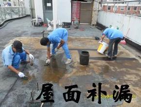 供應屋頂**補漏 **建筑衛生間**