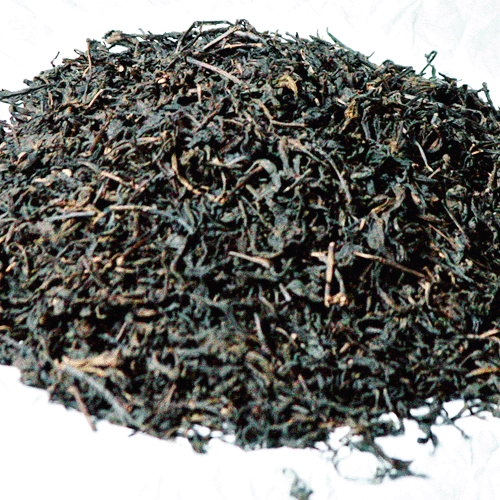 供應(yīng)湖南安化黑茶、陳年老黑茶、安化黑茶廠家、安化黑茶批發(fā)