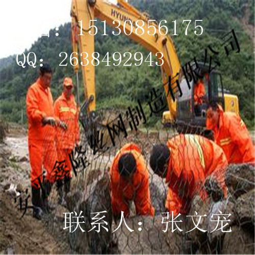 高熱 鍍鋅石籠網(wǎng)  報(bào)價(jià)