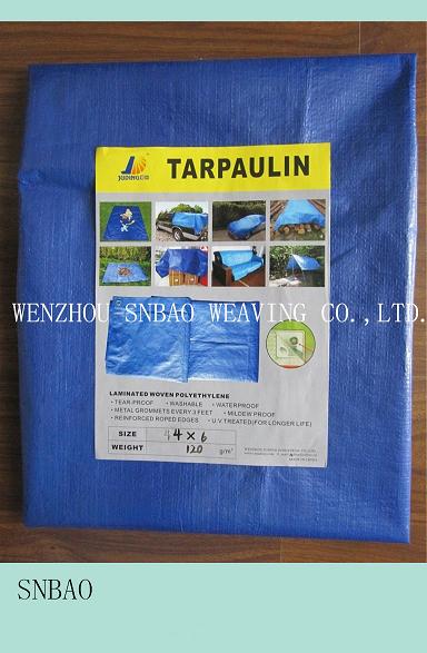 供應PP Tarpaulin