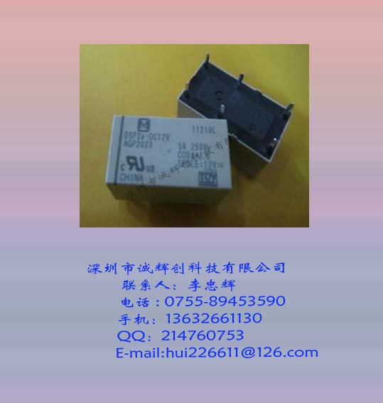 進口松下 中功率繼電器DSP2a-DC12V AGP2023 全新**** ROSH認證（環保）